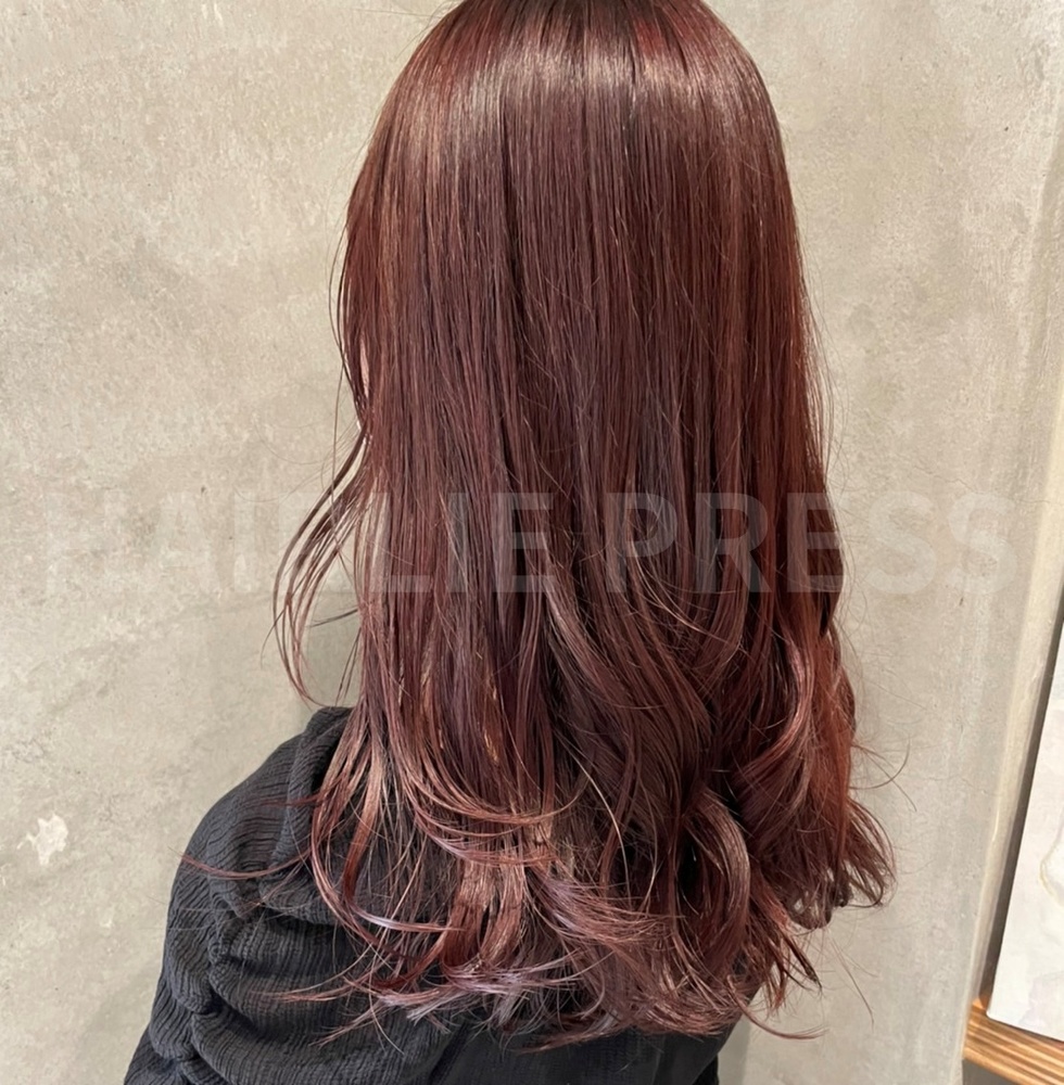 ブリーチなしのワインレッドは暗めで可愛い 黒髪からどれくらい染まる Hairlie Press ヘアリープレス